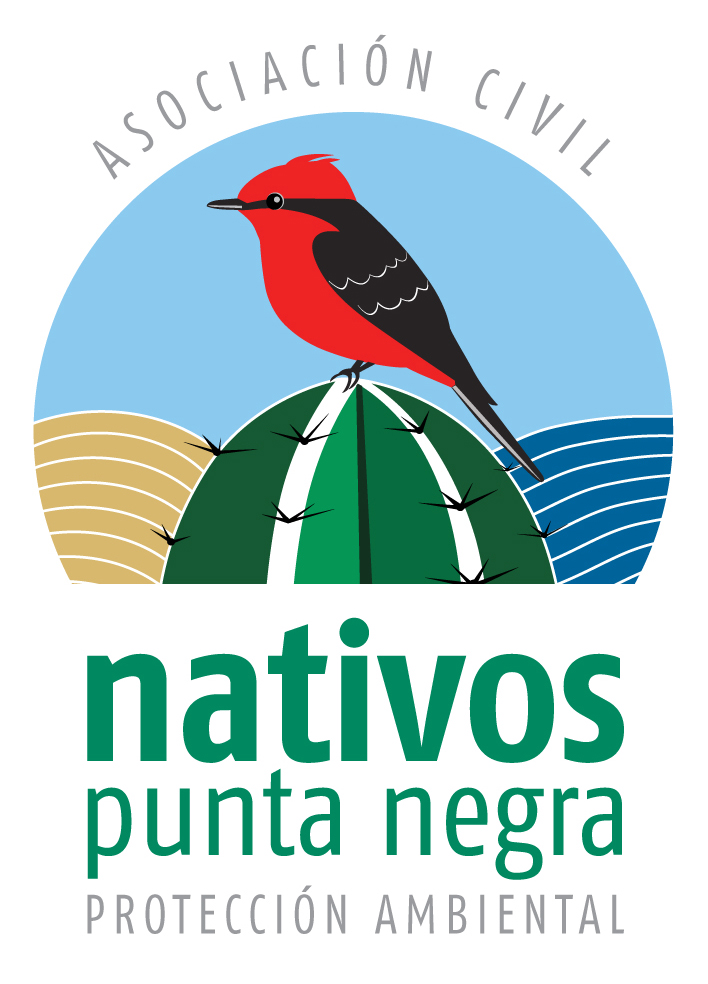 Asociación Civil Nativos Punta Negra